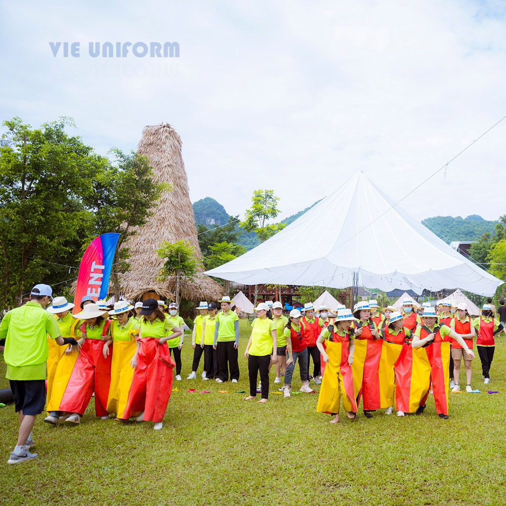 In Pet áo thun teambuilding 2025