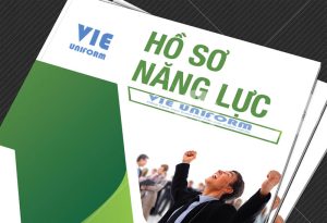 hồ sơ năng lực an phát