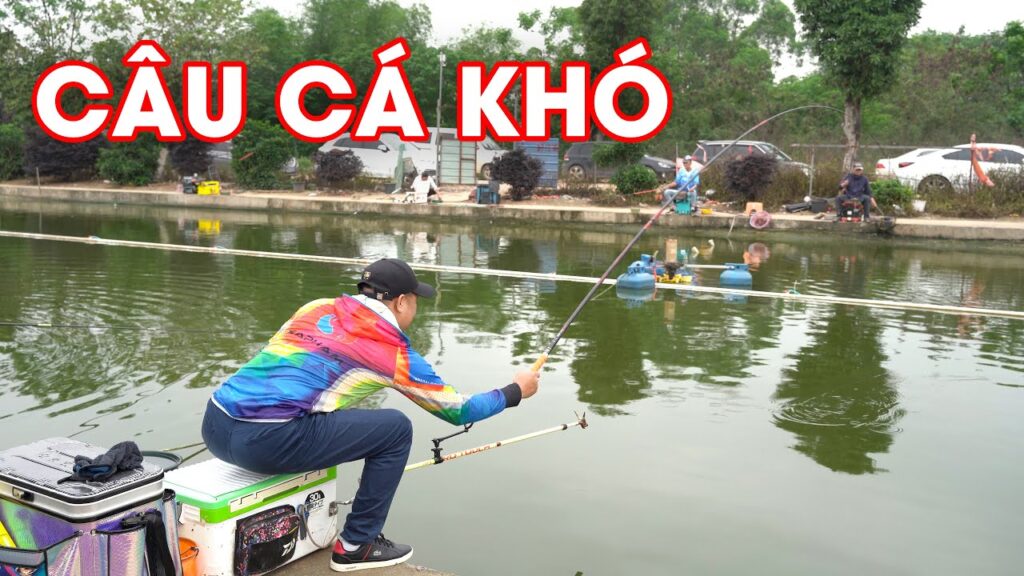Đồng phục áo câu cá